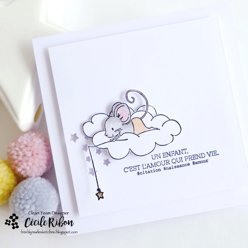 Carte FMS631 - P1450686