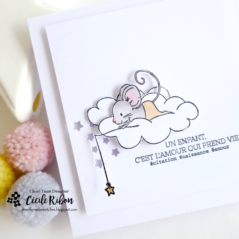 Carte FMS631 - P1450690