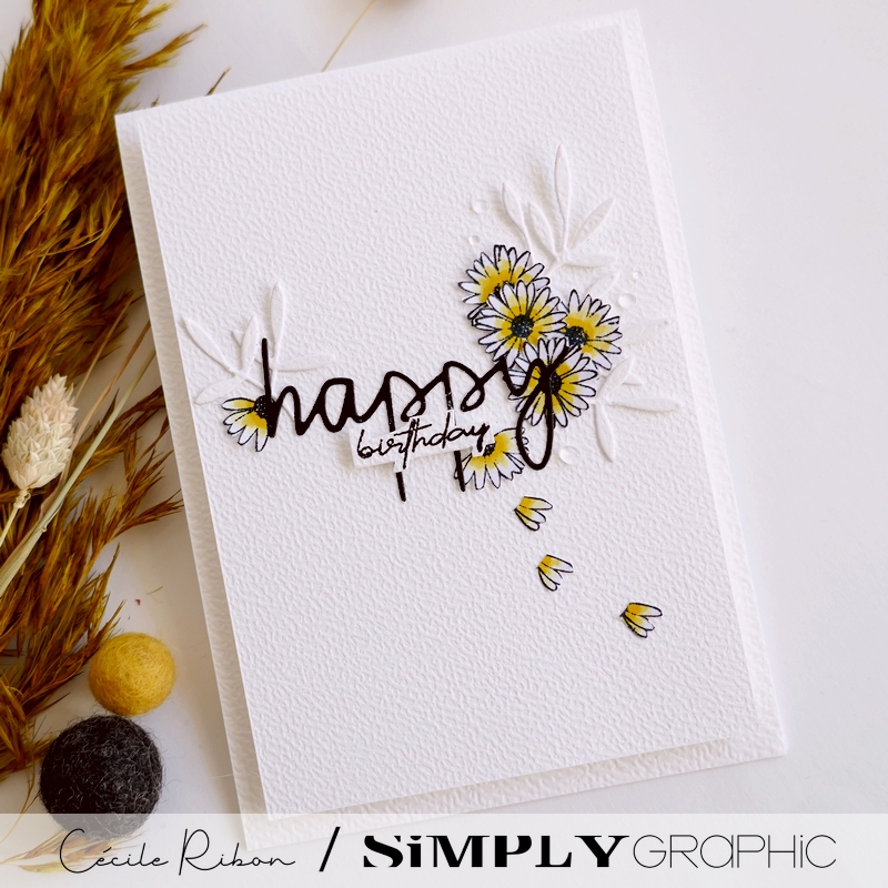 Carte SG33 - P1450619