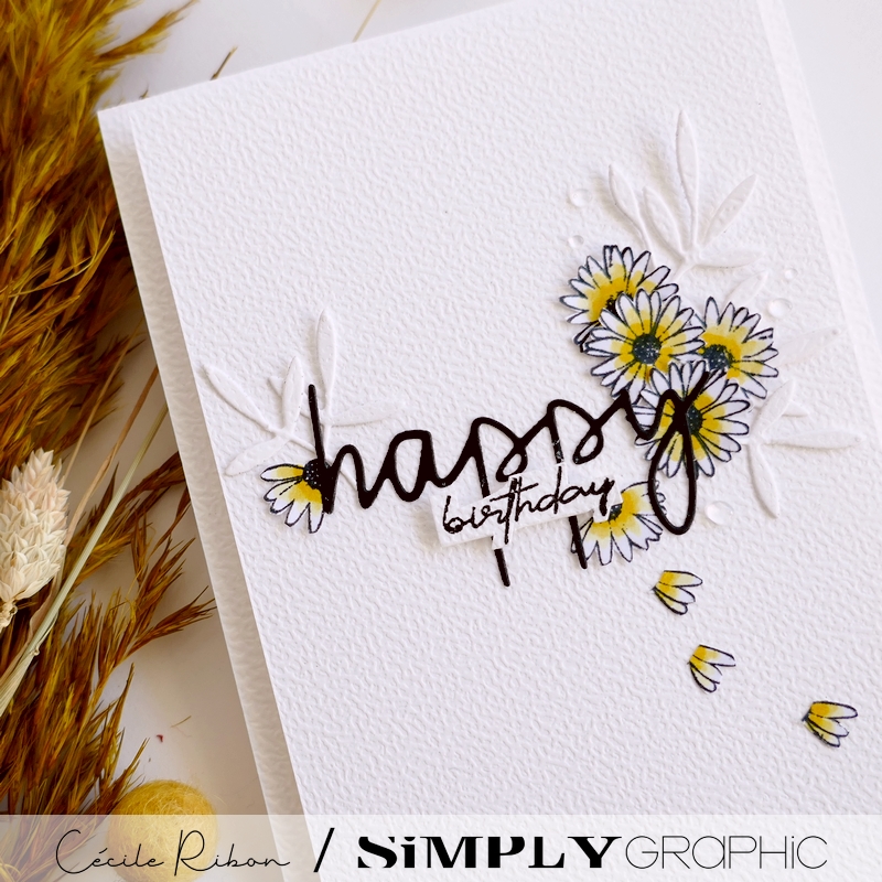 Carte SG33 - P1450623