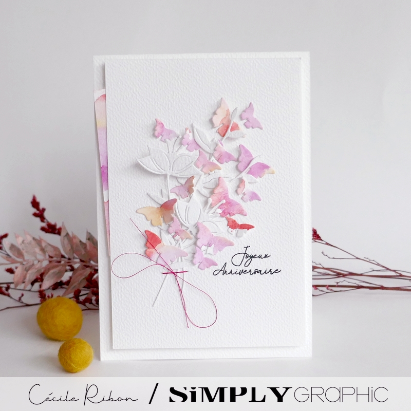 Carte SGx01 - P1450873