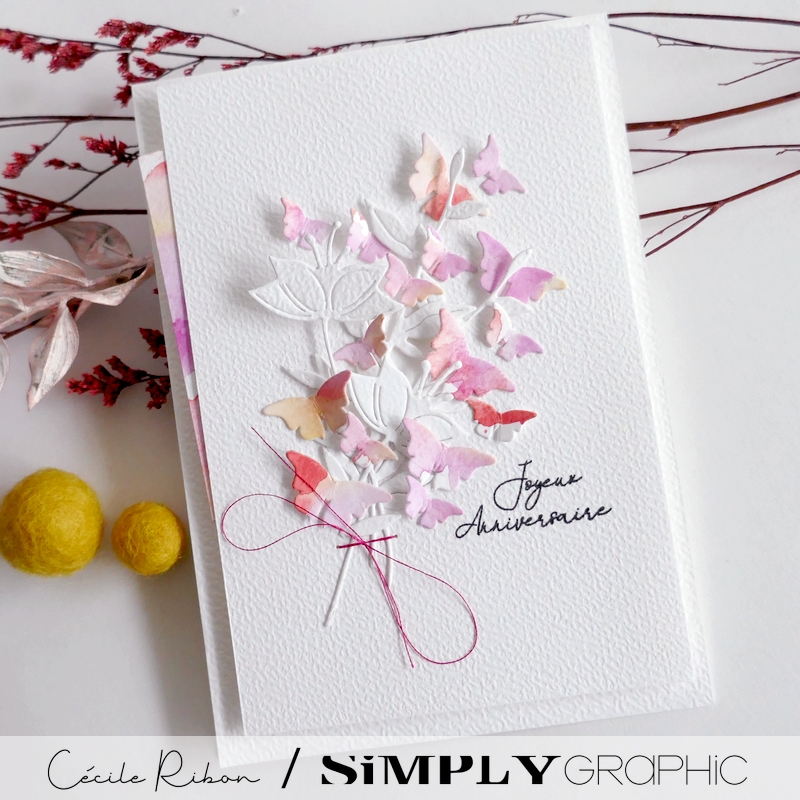 Carte SGx01 - P1450875