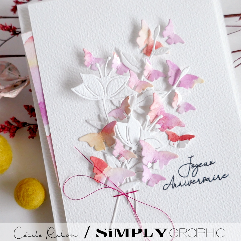 Carte SGx01 - P1450882