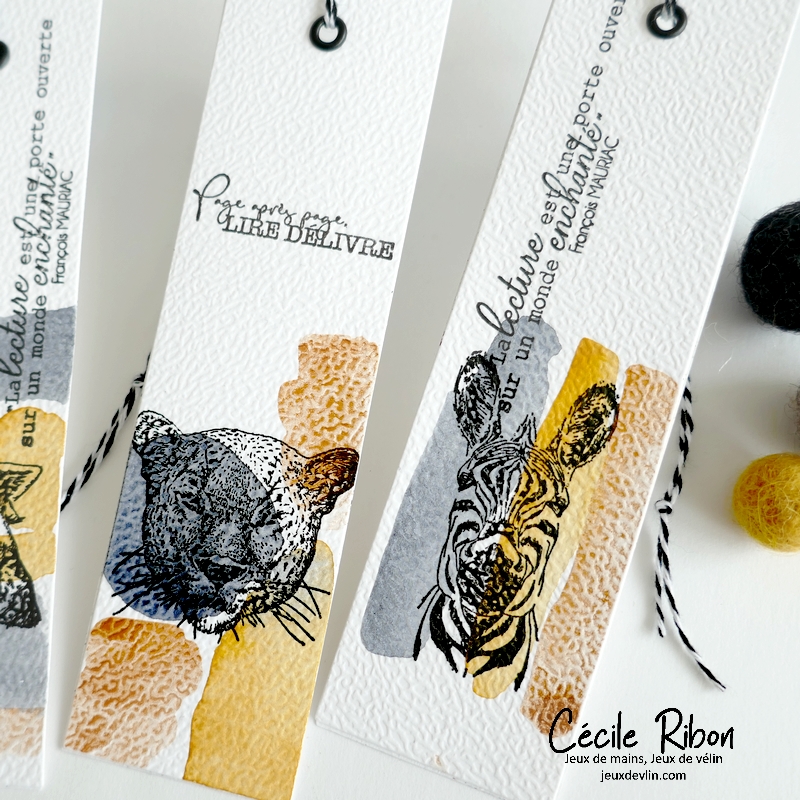 MarquePages03 - P1450361