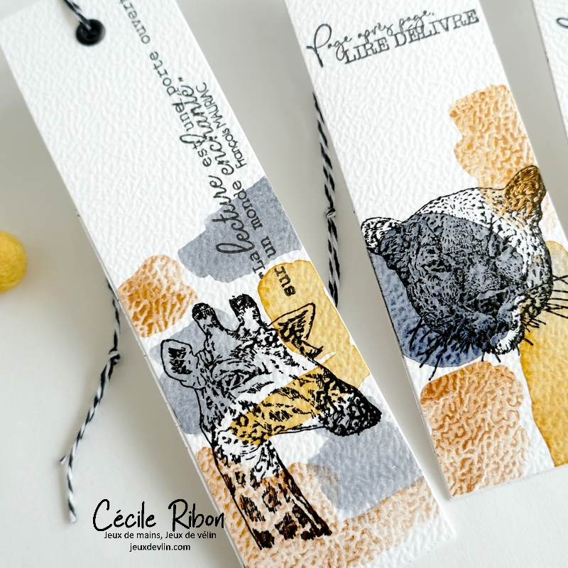 MarquePages03 - P1450363