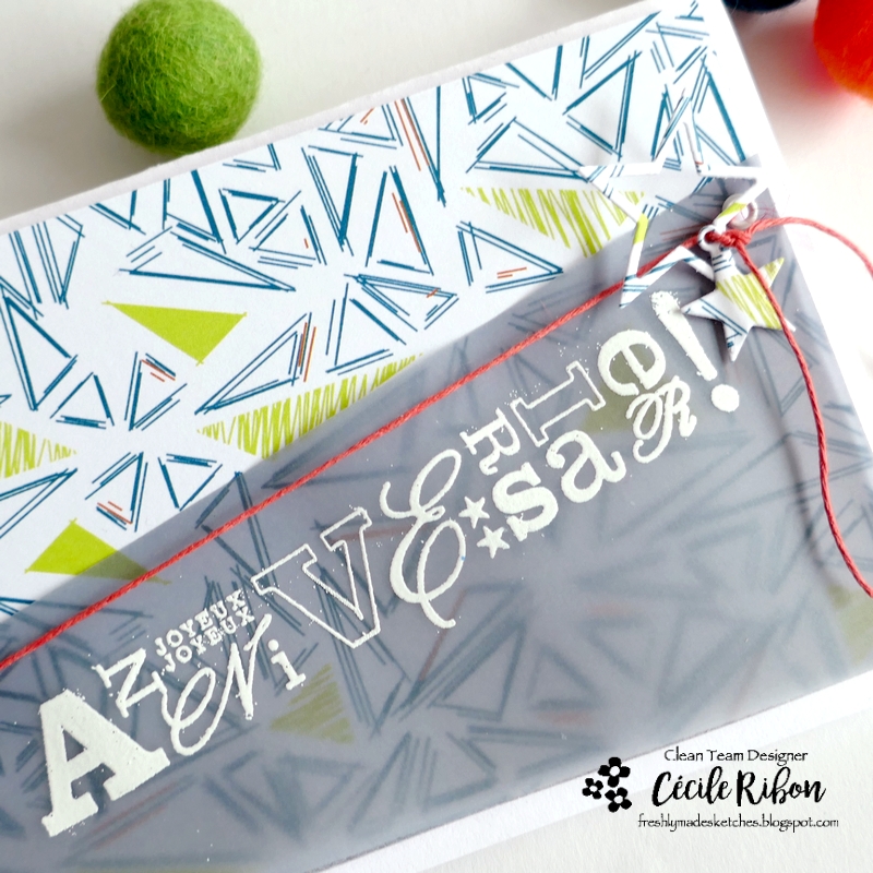 Carte FMS634 - P1450906