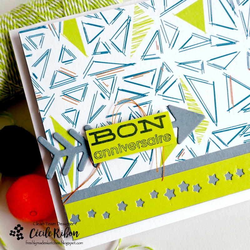 Carte FMS635 - P1450920