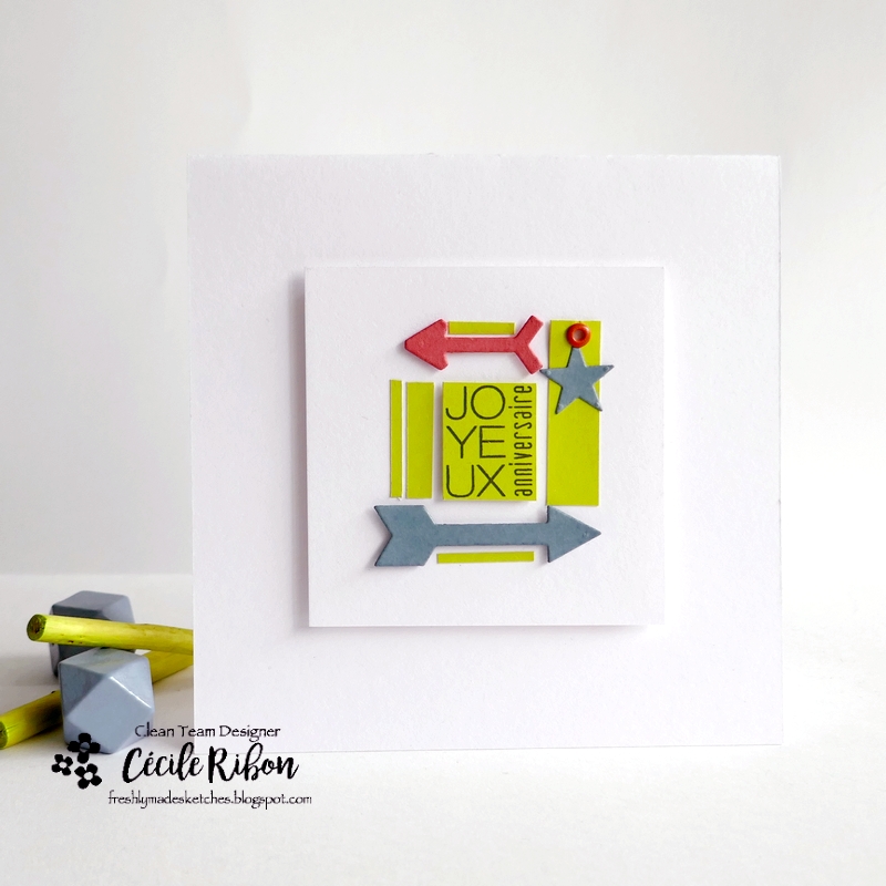 Carte FMS636 - P1460078