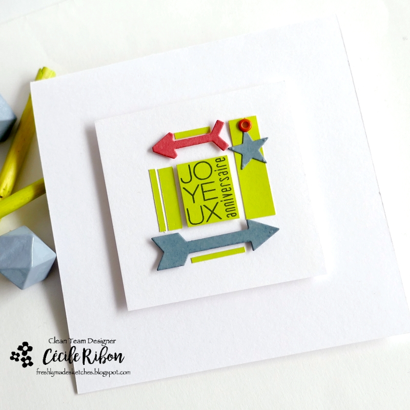 Carte FMS636 - P1460085