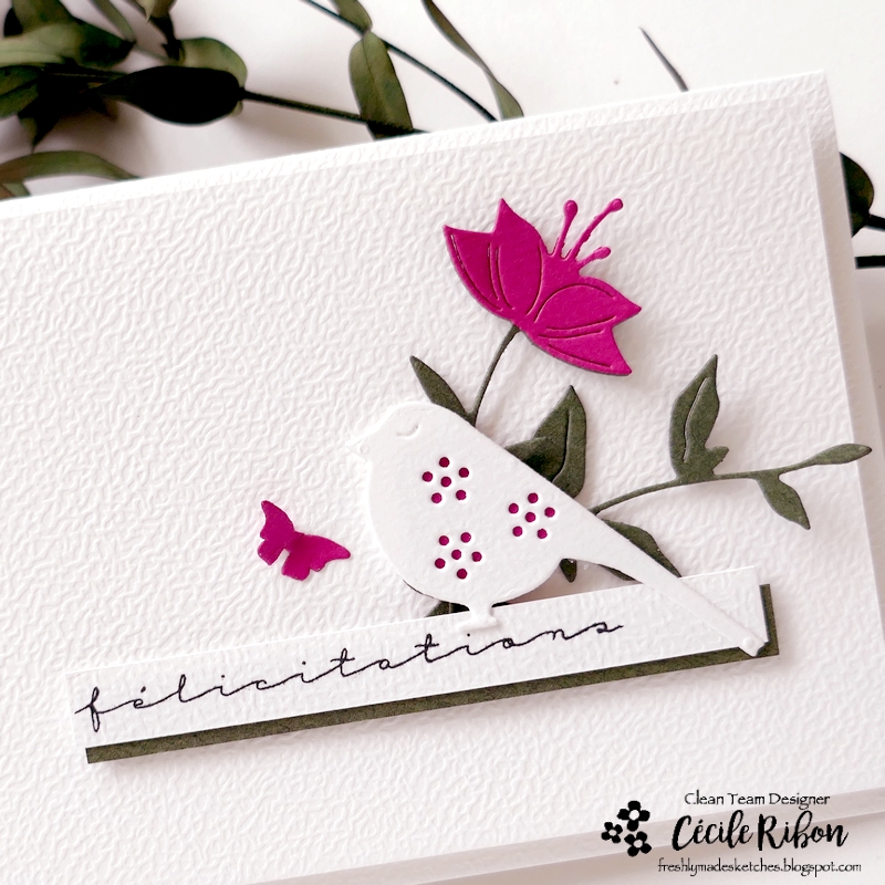 Carte FMS638 - P1460304