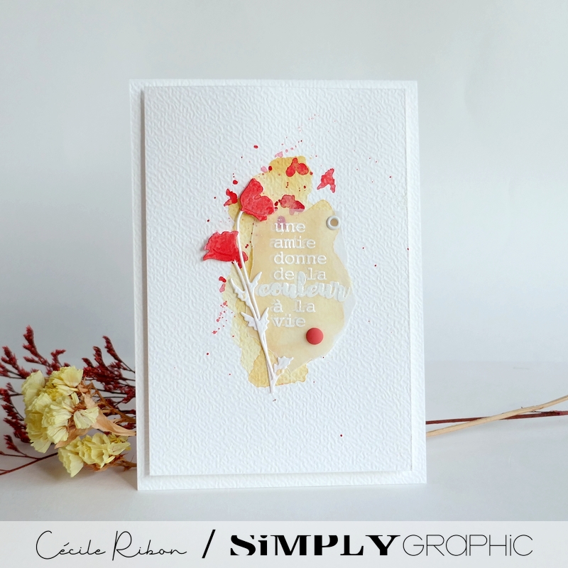 Carte Amitié01 - P1470256