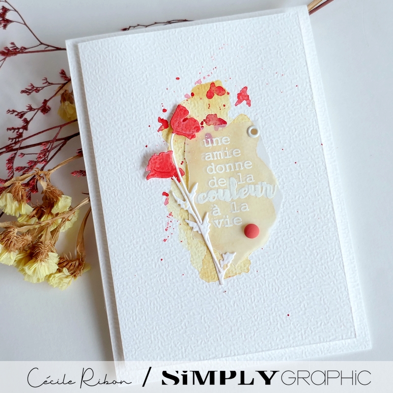 Carte Amitié01 - P1470265