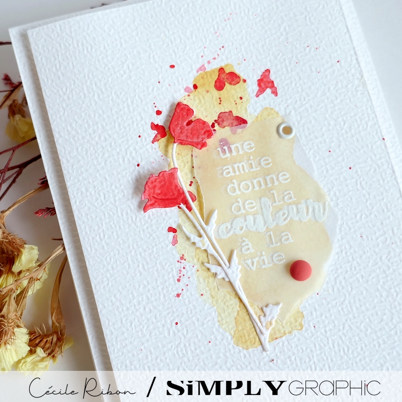 Carte Amitié01 - P1470270