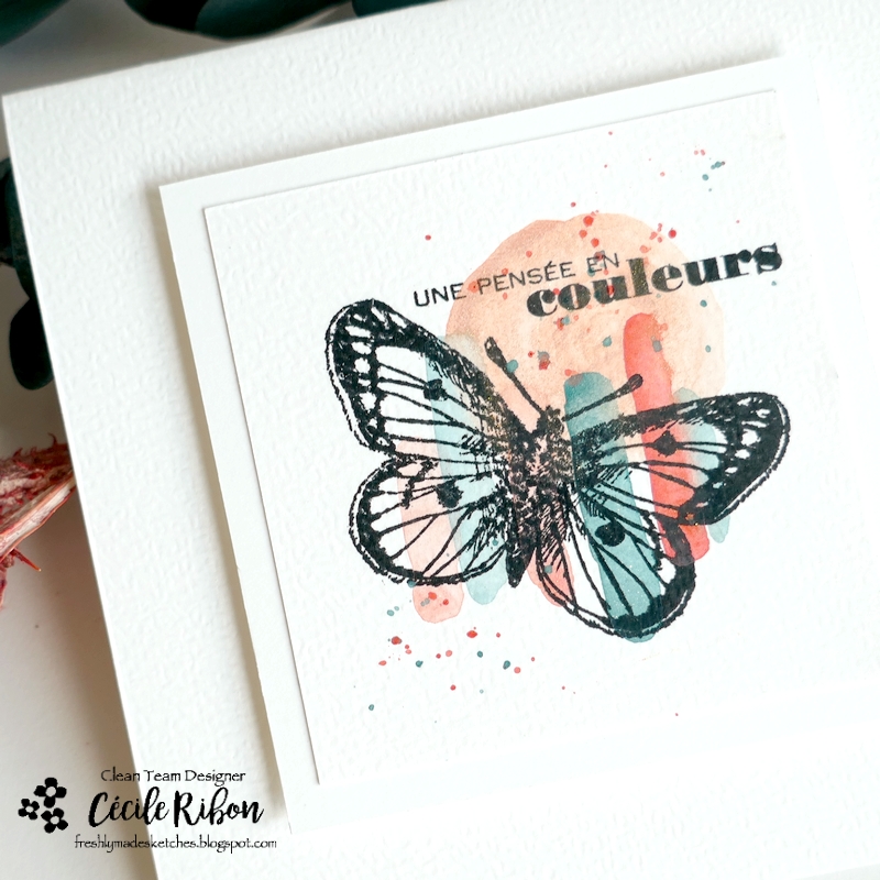 Carte FMS646 - P1470403