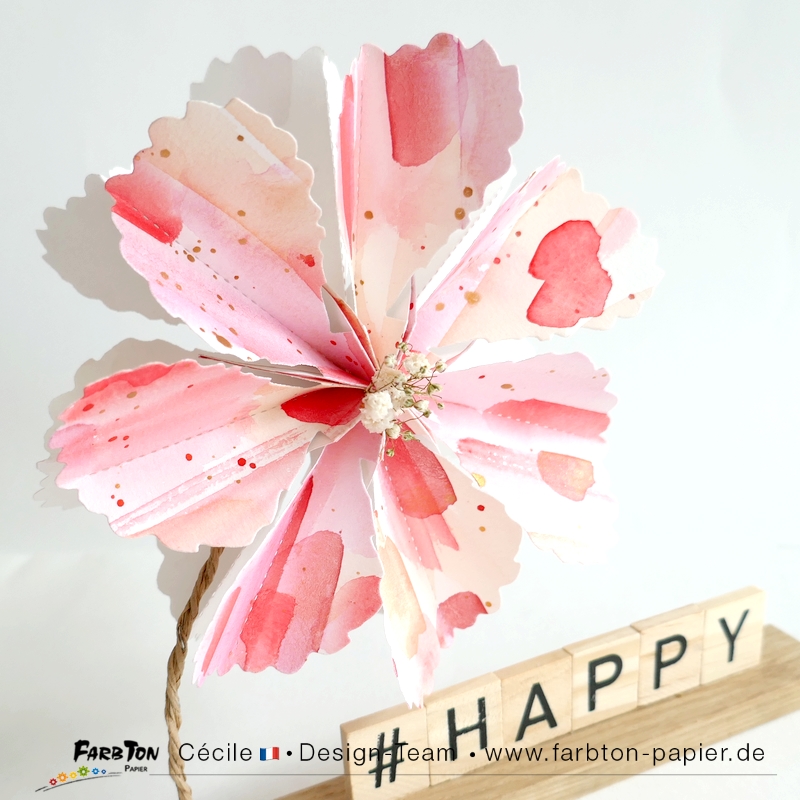 FarbtonP143 - P1470011