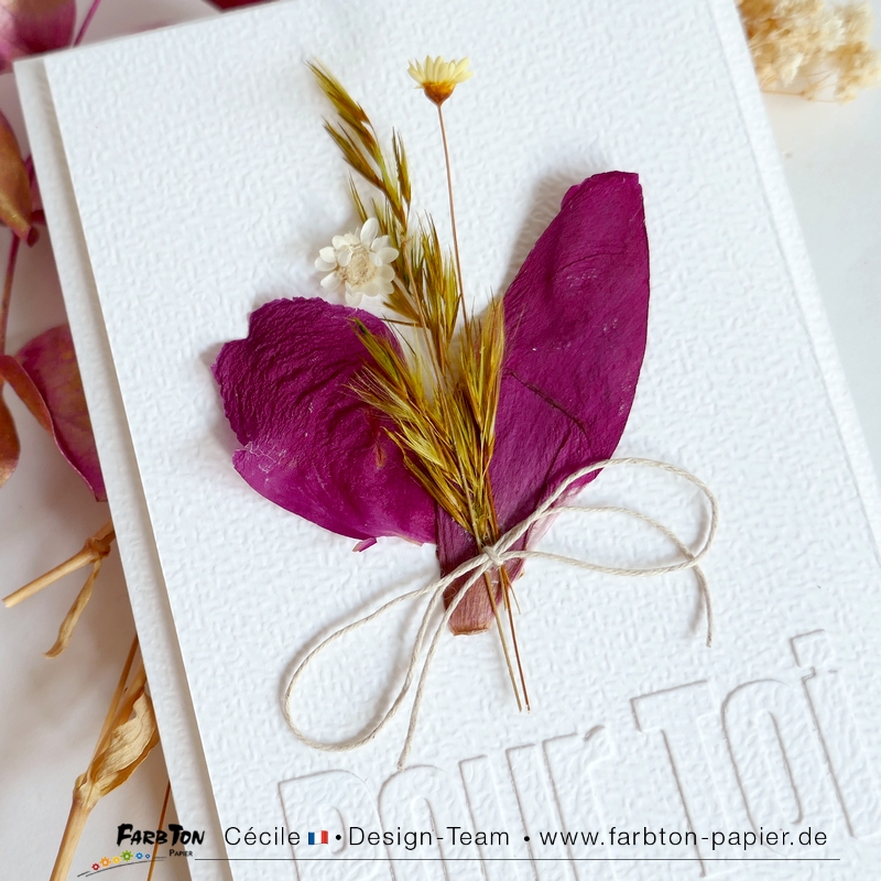 FarbtonP147 - P1470295