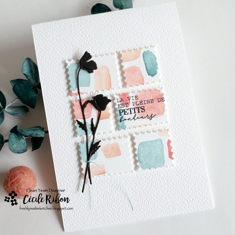 Carte FMS650 - P1470558