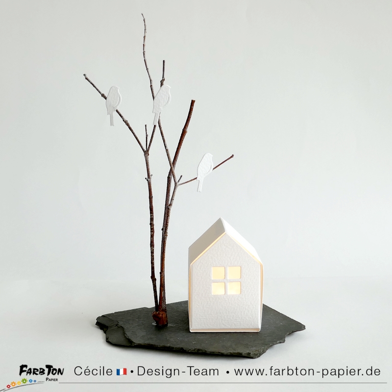 FarbtonP151 - P1470509