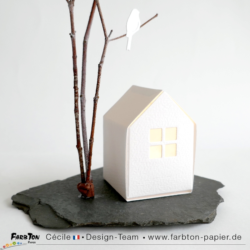 FarbtonP151 - P1470517