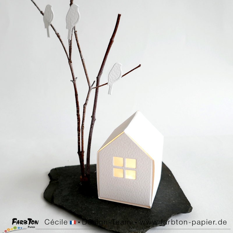 FarbtonP151 - P1470521