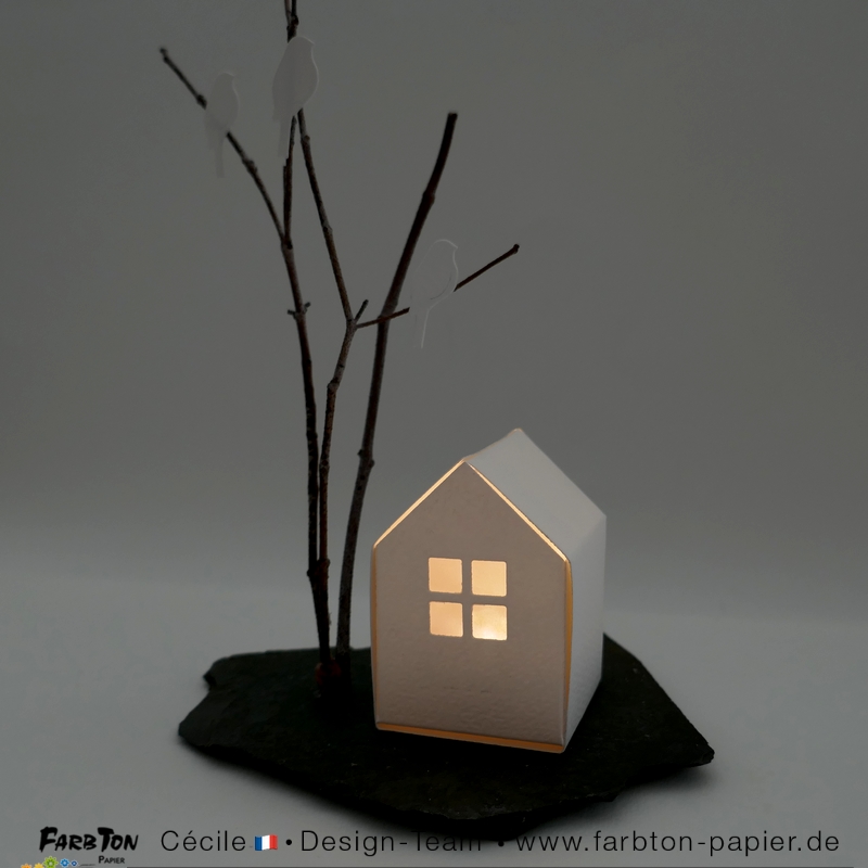 FarbtonP151 - P1470524