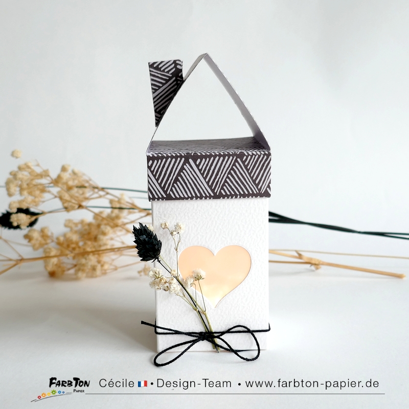 FarbtonP152 - P1470565