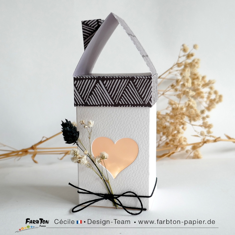 FarbtonP152 - P1470576