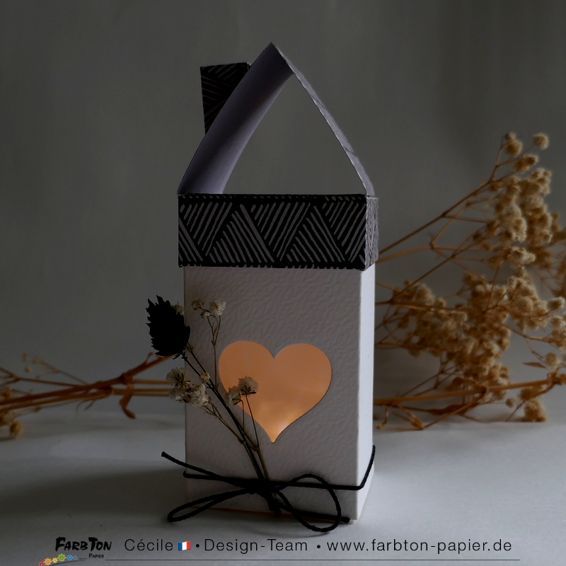 FarbtonP152 - P1470589