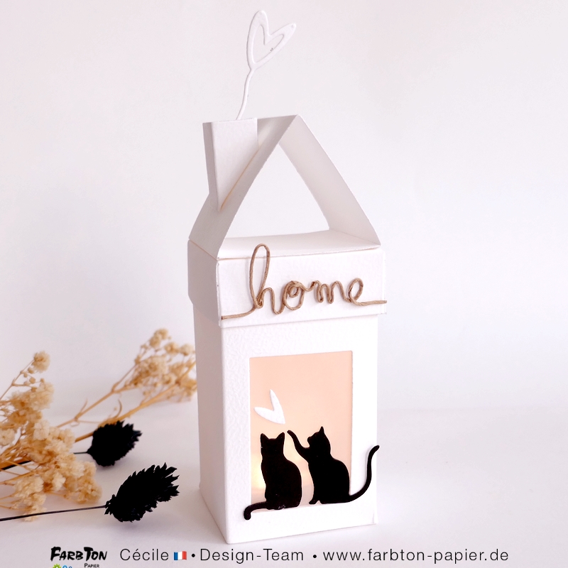 FarbtonP154 - P1470642