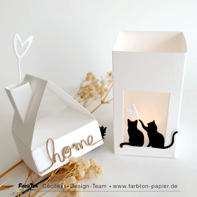 FarbtonP154 - P1470669