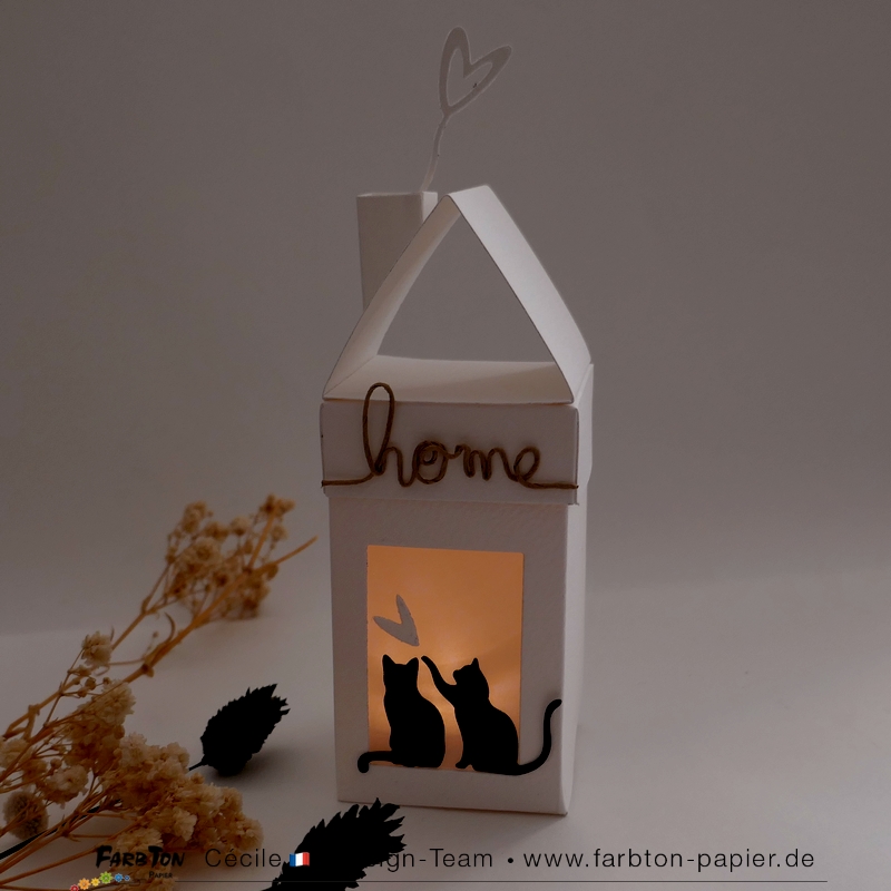 FarbtonP154 - P1470677