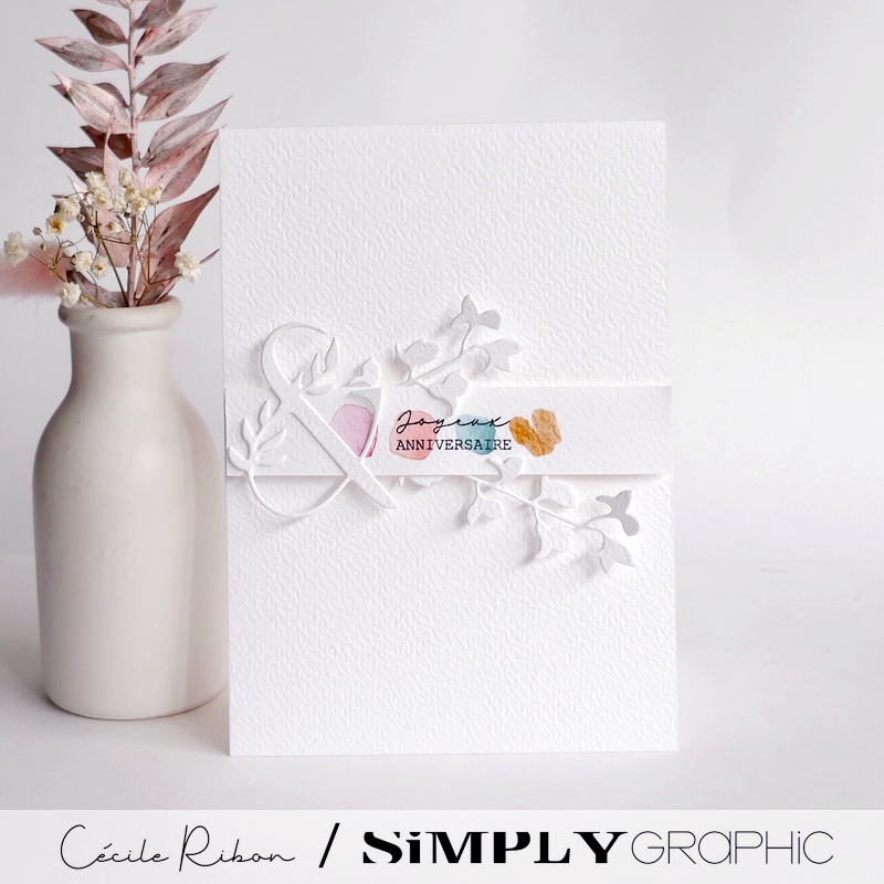 Carte AnnivF11 - P1470876