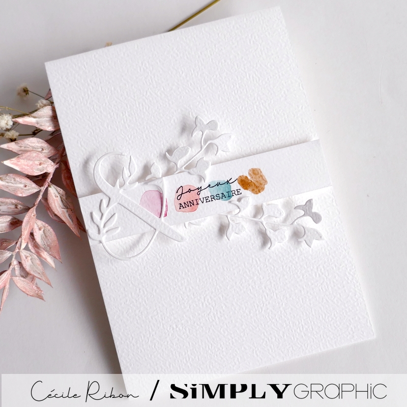 Carte AnnivF11 - P1470884