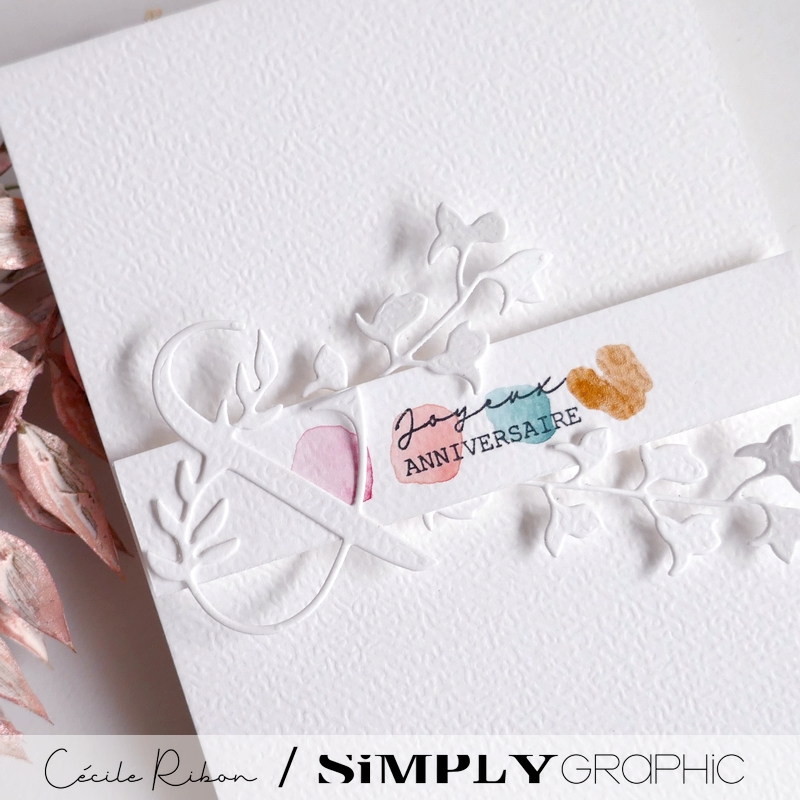 Carte AnnivF11 - P1470889