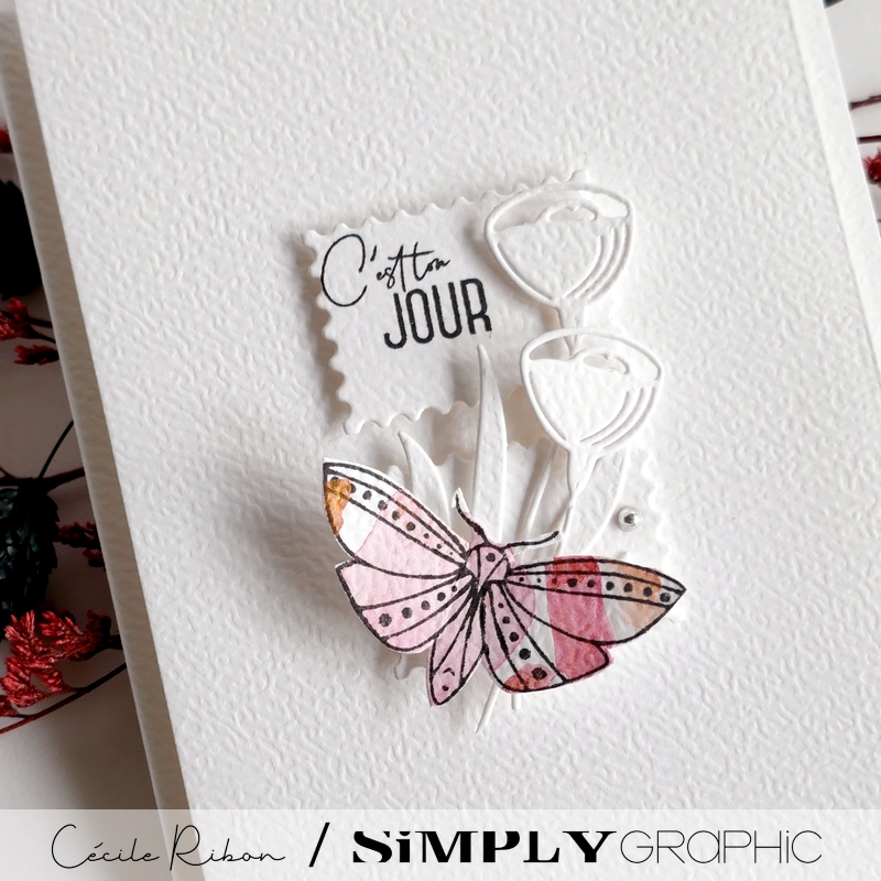 Carte AnnivF12 - P1470970