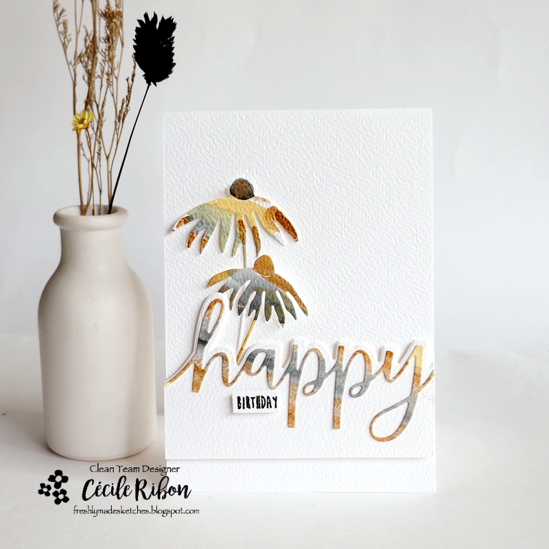 Carte FMS654 - P1480182