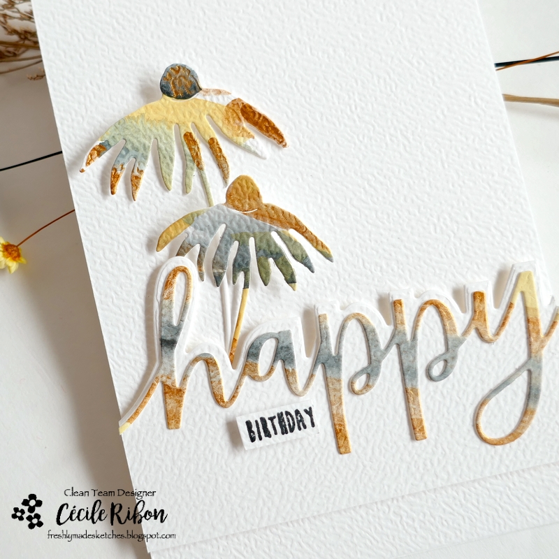 Carte FMS654 - P1480190