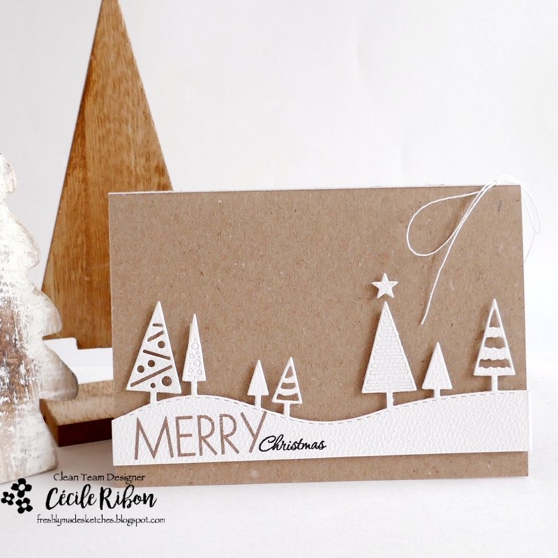 Carte FMS655 - P1480375