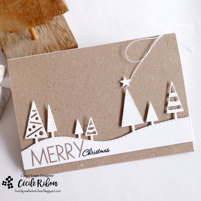 Carte FMS655 - P1480378