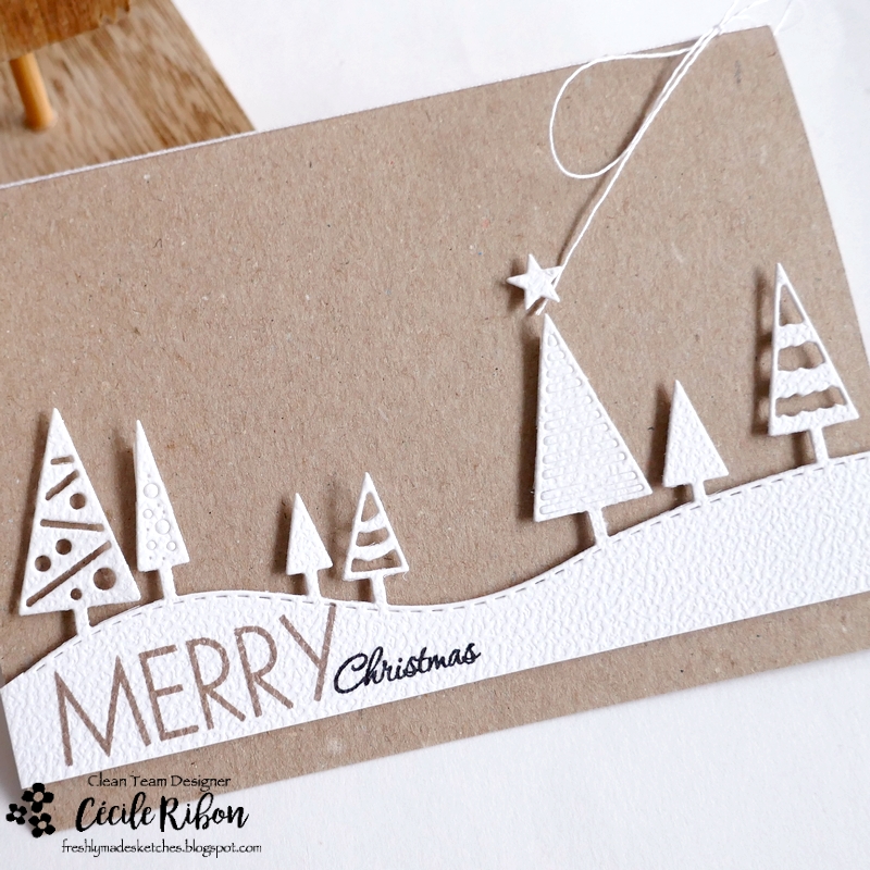 Carte FMS655 - P1480386