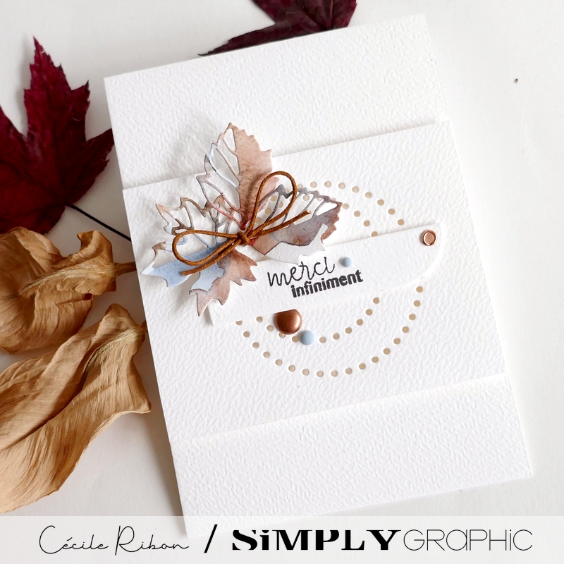 Carte Merci02 - P1480238