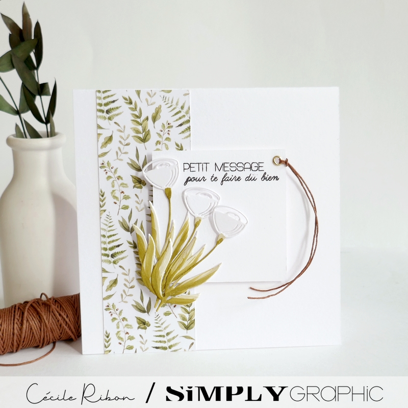 Carte SG37 - P1470409