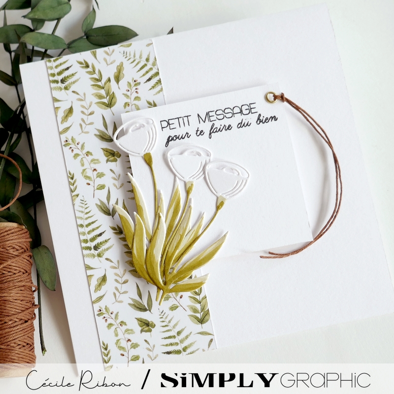 Carte SG37 - P1470414