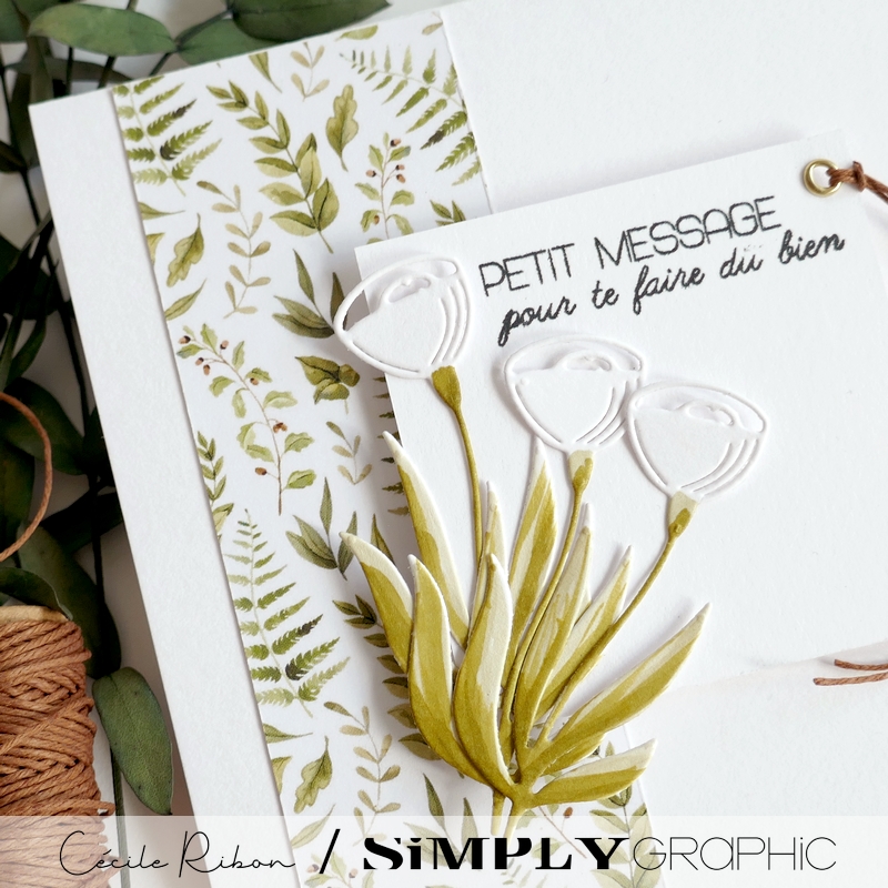 Carte SG37 - P1470418