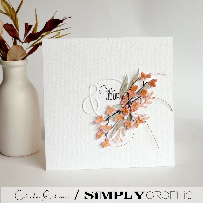 Carte SG38 - P1470929