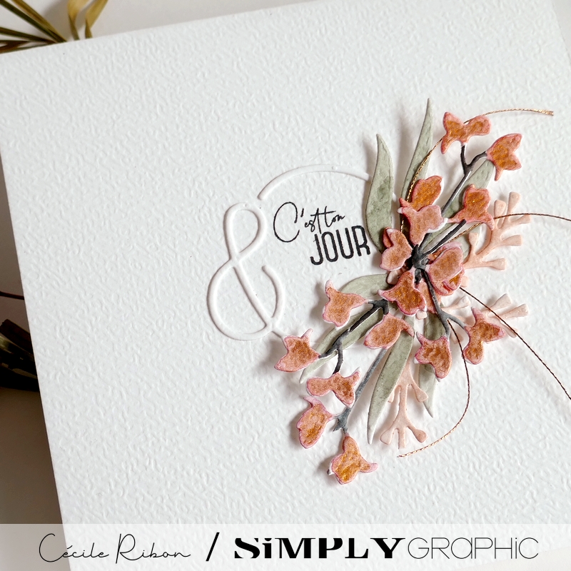 Carte SG38 - P1470945