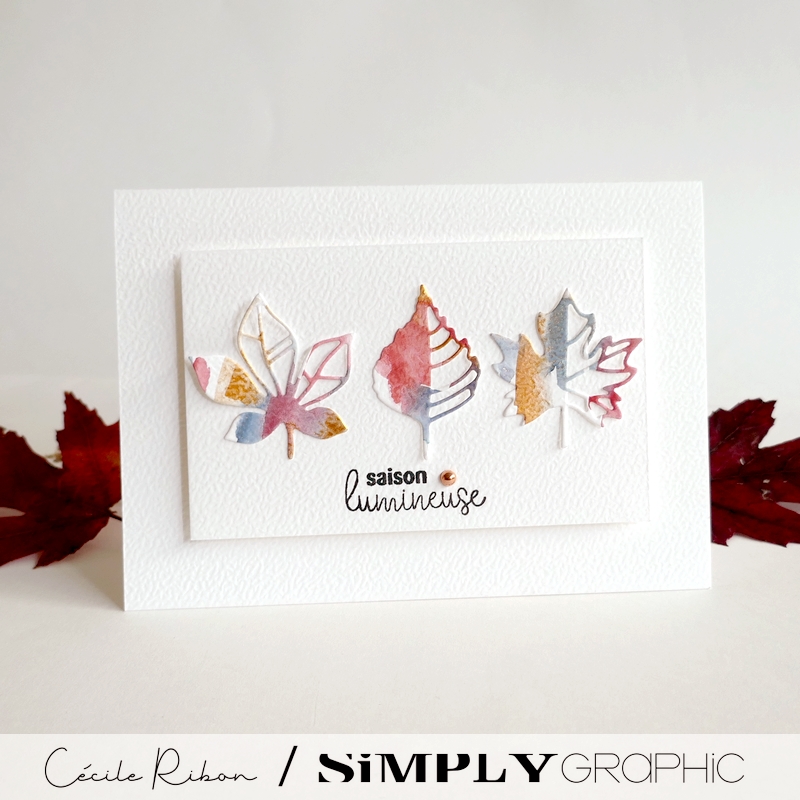 Carte SGx03 - P1480050