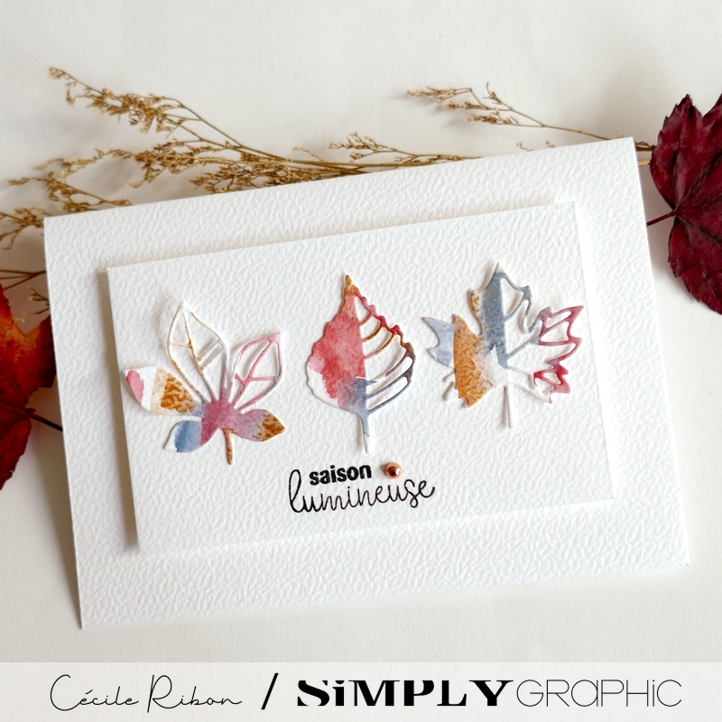 Carte SGx03 - P1480052