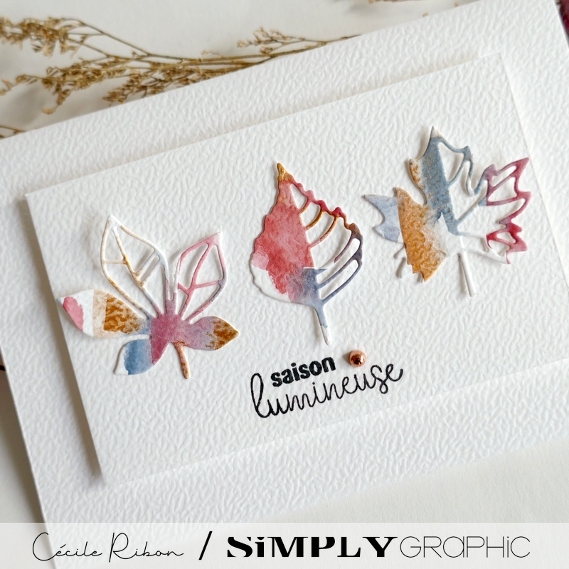 Carte SGx03 - P1480058