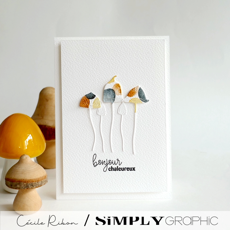 Carte SGx04 - P1480066